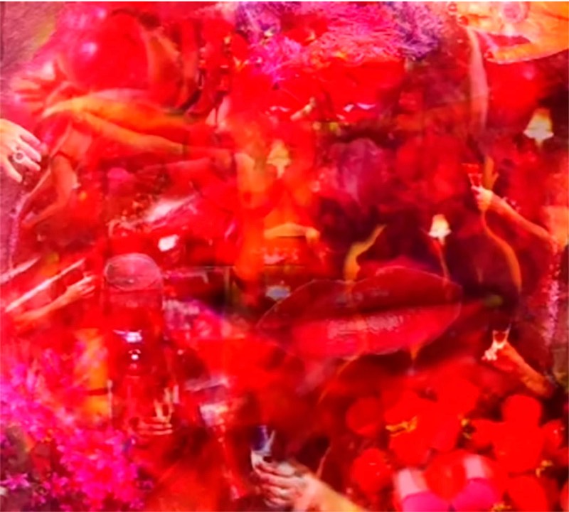 Fest der Frauen (2016) – Collage von Anna Abraxa über Weiblichkeit, Gesellschaft und Emotion