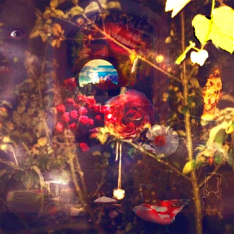 Harvest (2017) – Ausdrucksstarke Collage von Anna Abraxa mit surrealen und symbolischen Elementen